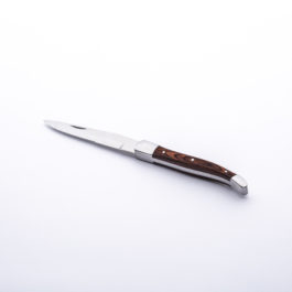 Gold Steak Knife – Professional Party Rentals